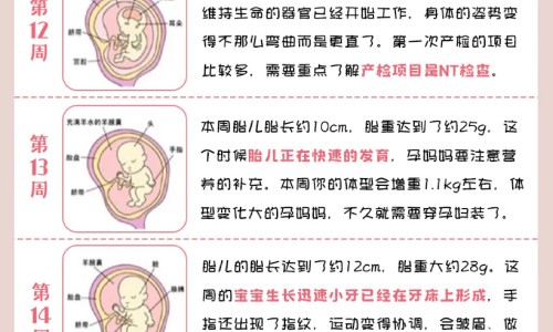 新鲜杏仁叶有什么作用和功效网 - 为你提供鲜杏仁的正确吃法、新鲜杏仁叶有什么作用和功效禁忌
